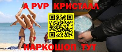 гидра Будённовск