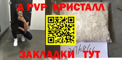 гидра Будённовск