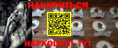 гидра Будённовск
