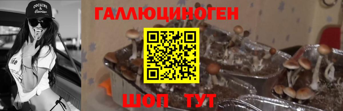 Псилоцибиновые грибы Magic Shrooms  Псилоцибиновые грибы прущие грибы  Вход с VPN  Родники 